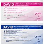 100 David Ovulationstest 10 miu/ml + 10 Schwangerschaftstest - Streifen - Preisvergleich