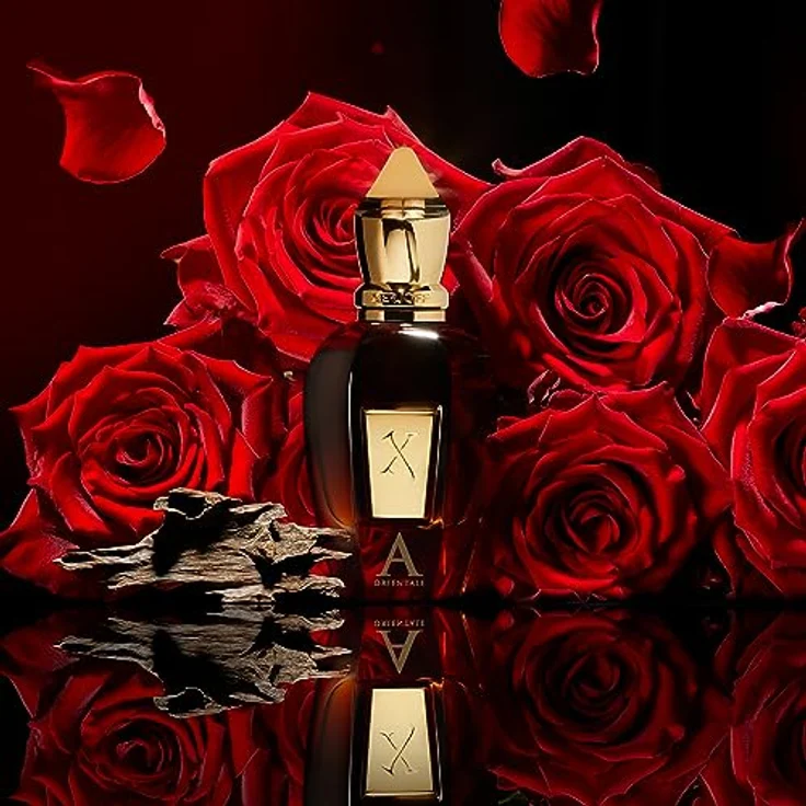 Xerjoff Oud Stars Alexandria Orientale Unisex Parfüm 50 ml in Mehrfarbig – Bild 5