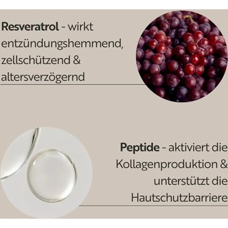 M. Asam RESVERATROL PREMIUM NT50 Lifting Day Creme SPF 15, straffende Anti-Aging Gesichtscreme für reife Haut, 100ml, mit Resveratrol und intensiver Feuchtigkeit – Bild 4