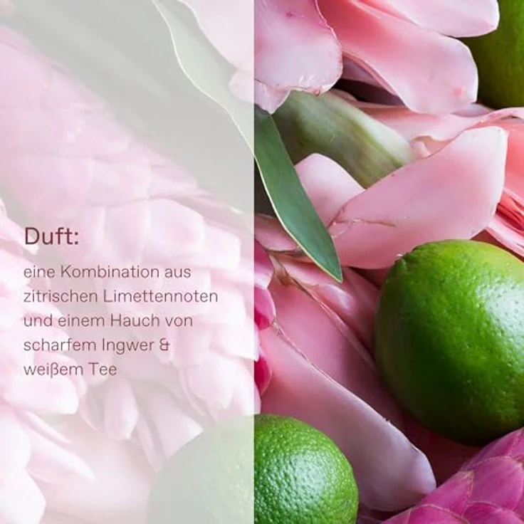 KORRES Ginger Lime Körpermilch, 200 ml, feuchtigkeitsspendend mit Mandelöl und Aloe, Duft von Ingwer und Limette – Bild 2