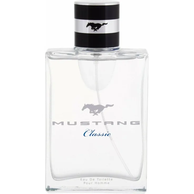 Ford Mustang Classic for Men Eau de Toilette (EdT) Herrenduft 100 ml