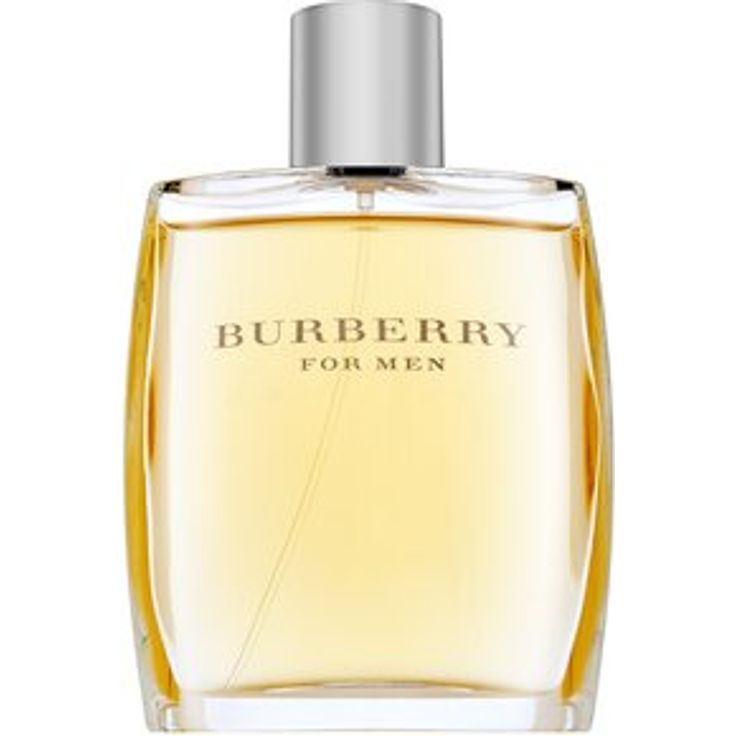 Burberry for Men Eau de Toilette (EdT) Herrenduft 100 ml