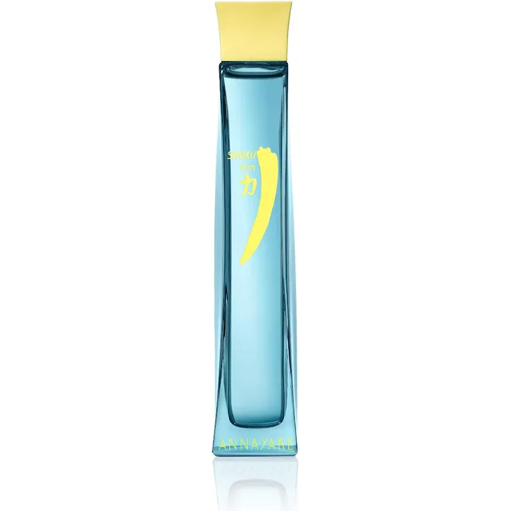 Annayake SHOKU For him Eau de Toilette (EdT) Herrenduft 100 ml