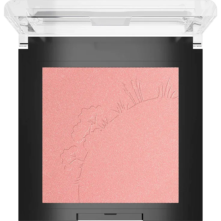 Sante Teint Sante Teint Mineral Blush Puder 01 Mellow Peach 5.0 g