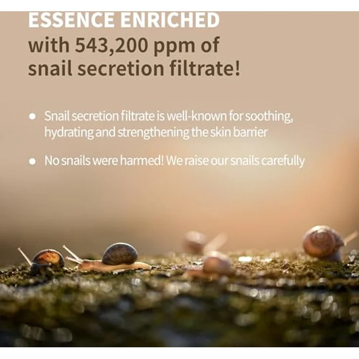 Benton Snail Bee High Content Lotion, Gesichtscreme mit zusätzlicher Feuchtigkeit, 120 ml für fettige und Mischhaut – Bild 2