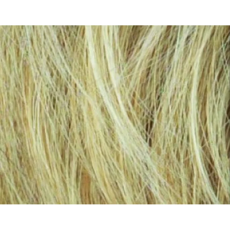 Hairpower Sky **, lighthoney rooted 25.26.22 – Bild 3