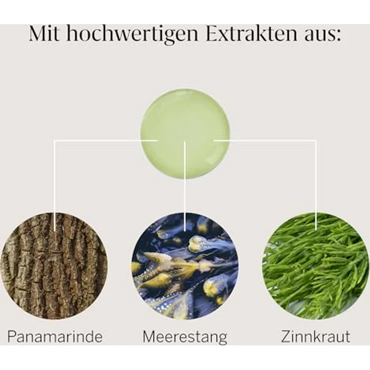 Rausch Anti-Fett-Shampoo mit Meerestang, 200 ml - effektive Fettregulierung für frisches Haar – Bild 8