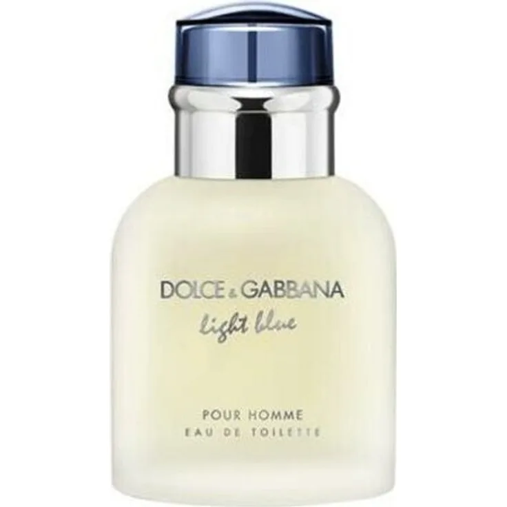 Dolce & Gabbana Light Blue Pour Homme, Herrenduft EDT Spray mit sizilianischer Mandarine, 40ml