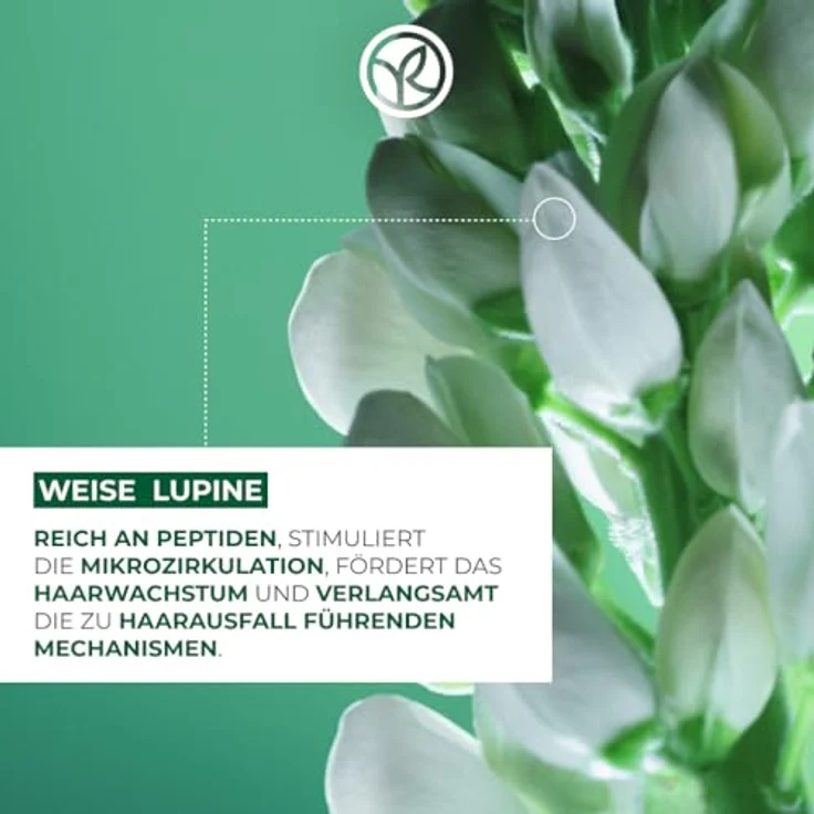 Yves Rocher PFLANZENPFLEGE HAARE kräftigendes Shampoo gegen Haarausfall, 300 ml, kräftigt & stärkt – Bild 3