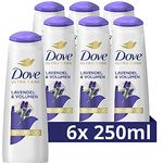 Dove Ultra Care Shampoo Lavendel & Volumen Haarpflege für feines Haar Shampoo verleiht lebendiges Volumen & Fülle 250ml 6 Stück