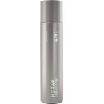 GLYNT MERAK Dynamic Spray mittlerer Halt 300 ml