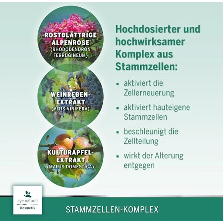 EYE CARE COMPANY Eye Natural Anti-Aging Stammzellencreme, vegane Augencreme mit Aloe Vera, Granatapfel-Öl, Hyaluron und Grüntee-Extrakt, 50ml, gegen Tränensäcke und Augenringe – Bild 3