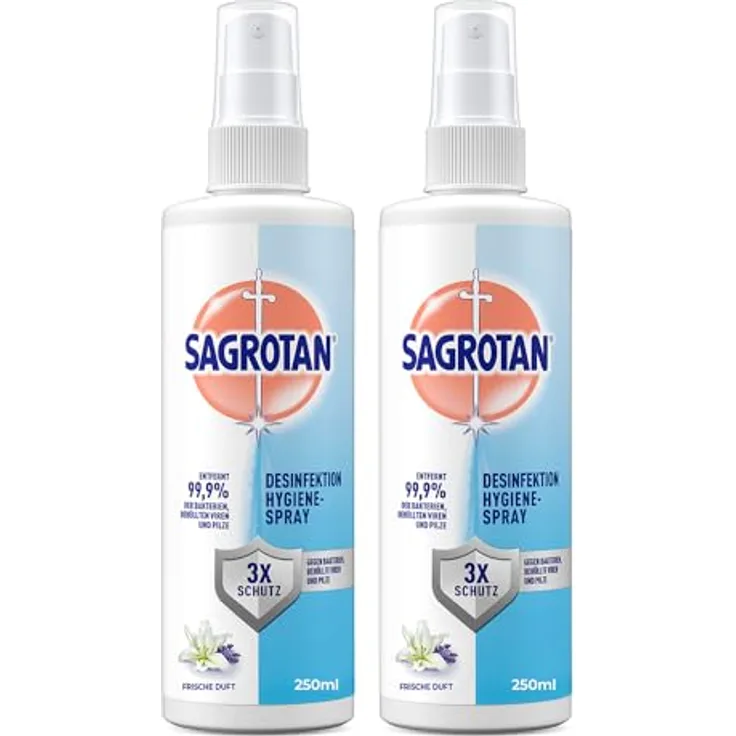 SAGROTAN Hygiene-Pumpspray 250 ml, Oberflächen-Desinfektionsmittel entfernt 99,9% der Bakterien, ideal für unterwegs