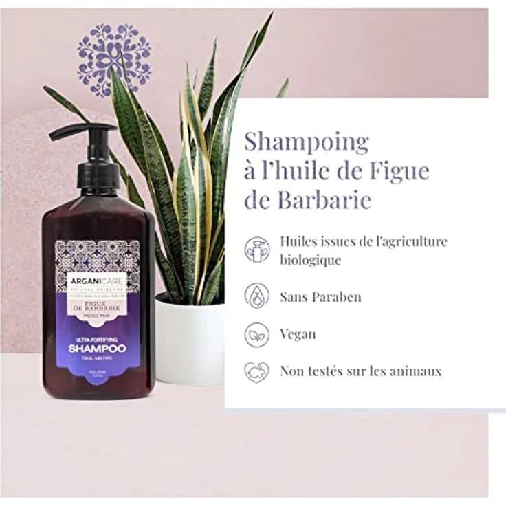 Arganicare Pflegendes Haarshampoo mit Kaktusfeigenöl, 400 ml – Ultra-stärkend für alle Haartypen – Bild 5