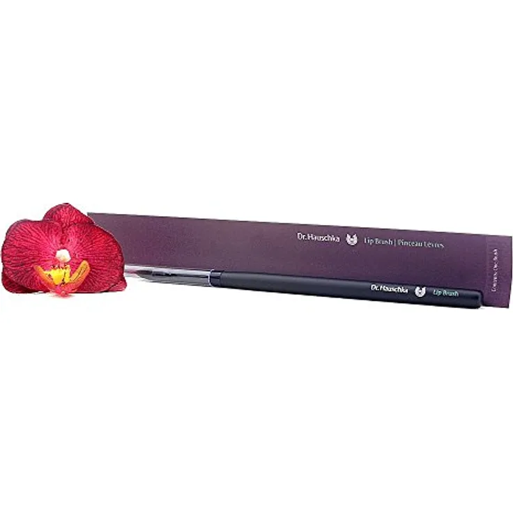 DR.HAUSCHKA Lip Brush, 1 Stk.