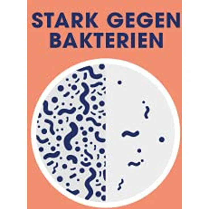 Reckitt Sagrotan No-Touch Nachfüller, Antibakterielle Handseife mit Apfel & Jasmin, 250ml – Bild 2