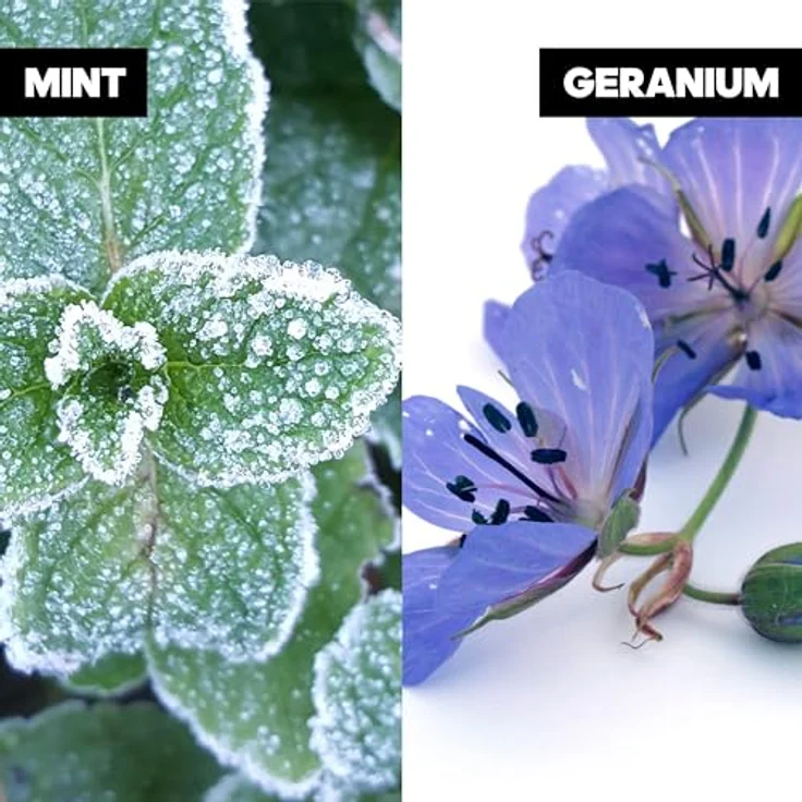 Adidas Ice Dive Deodorant Zerstäuber für Herren, 75ml, parfümiert, frischer Duft – Bild 4