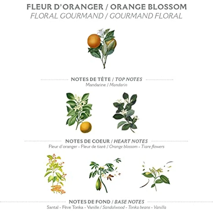 Panier des Sens Orangenblüte Seifenstücke mit Olivenöl – Feuchtigkeitsspendende Handseife für empfindliche Haut, 99% natürlich, 2 x 150g – Bild 3