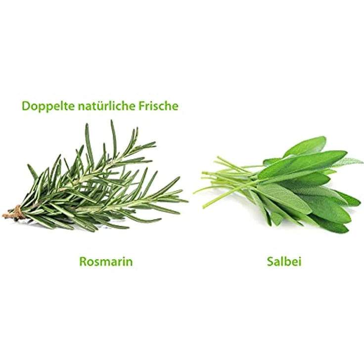 GREENDOOR Basisches Duschgel Rosmarin 250ml, biologisch abbaubar, vegan, ohne Silikone, Sulfate und Parabene – Bild 4