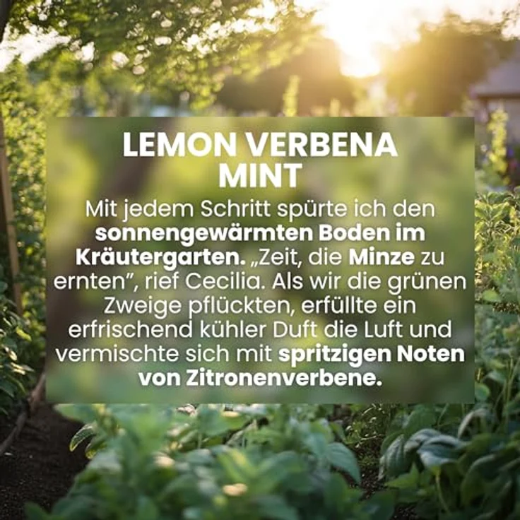 Jean & Len Hand & Body Cleanser Lemonverbena & Mint, vegane Flüssigseife, 500 ml, für normale bis trockene Haut, erfrischender Duft in hochwertiger Flasche – Bild 5