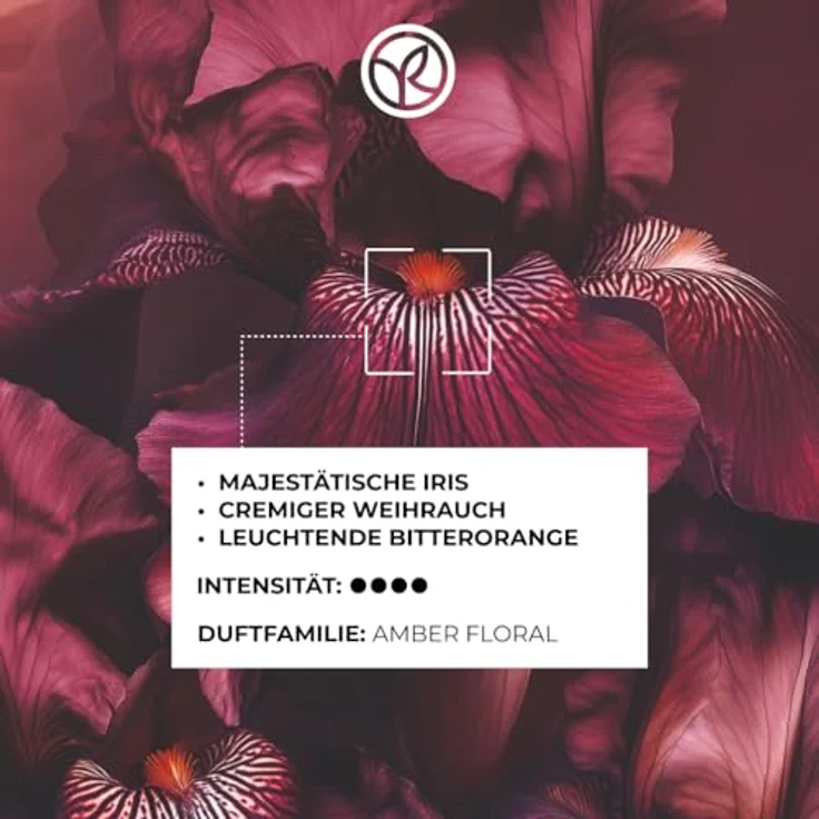 Yves Rocher PLEINES NATURES Eau de Parfum Bouquet Ambré, Blumiges Amber-Parfüm mit Iris, Bitterorange und Weihrauch, 100 ml, vegan und mit 95% natürlichen Inhaltsstoffen – Bild 3