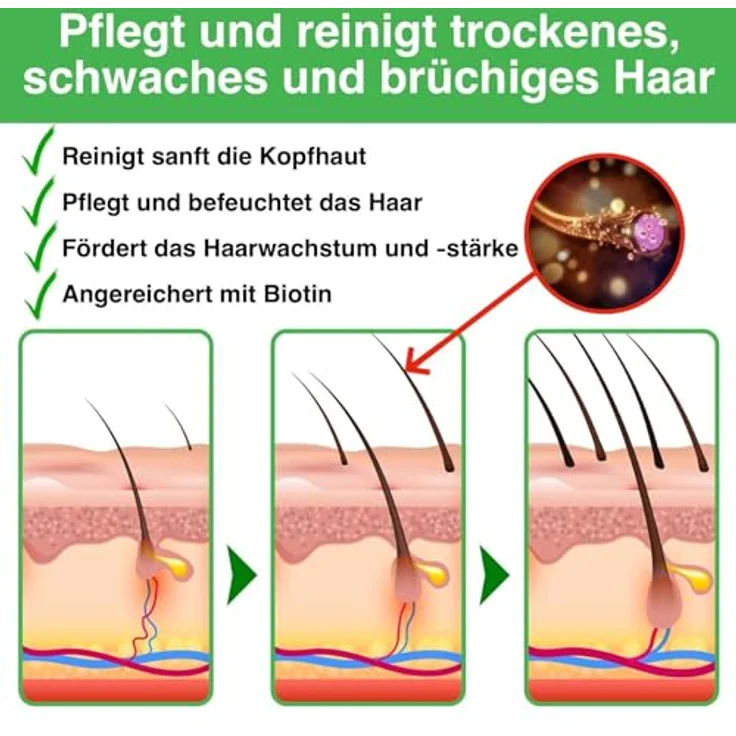 P-Beauty Rosmarin Shampoo für Haarwachstum 3x300ml, Pflegeshampoo gegen Haarausfall, Stärkungsshampoo mit natürlichen Inhaltsstoffen, für alle Haartypen – Bild 5