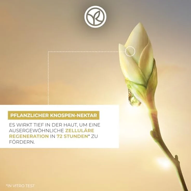 Yves Rocher ANTI-AGE GLOBAL - Regenerierende Tages- und Nachtcreme & Nachtmaske gegen Falten - 75 ml, für strahlenden Teint und straffere Haut – Bild 3