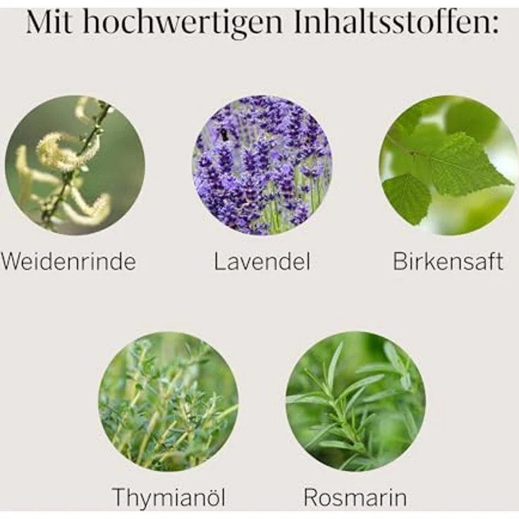 Rausch RAUSCH Spezial-Spray mit Weidenrinde, 100 ml, Pflege für trockenes Haar – Bild 8