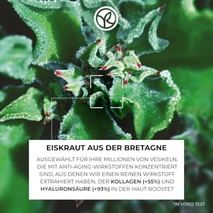 Yves Rocher LIFT Pro-COLLAGÈNE Nachtcreme - Anti-Falten Gesichtscreme, Kollagen & Hyaluronsäure, straffend - 50 ml – Bild 3