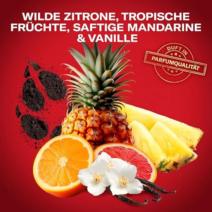 Old Spice Gamer Geschenkset Wolfthorn, Deostick (50 ml) & Duschgel (250 ml), langanhaltender Duft in Parfumqualität – Bild 4
