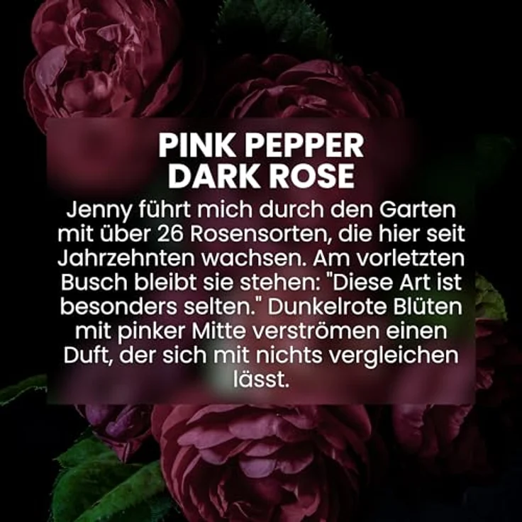 Jean & Len Hand & Body Cleanser Pink Pepper & Dark Rose, vegane Flüssigseife mit sinnlich-floralem Duft, 500 ml – Bild 5