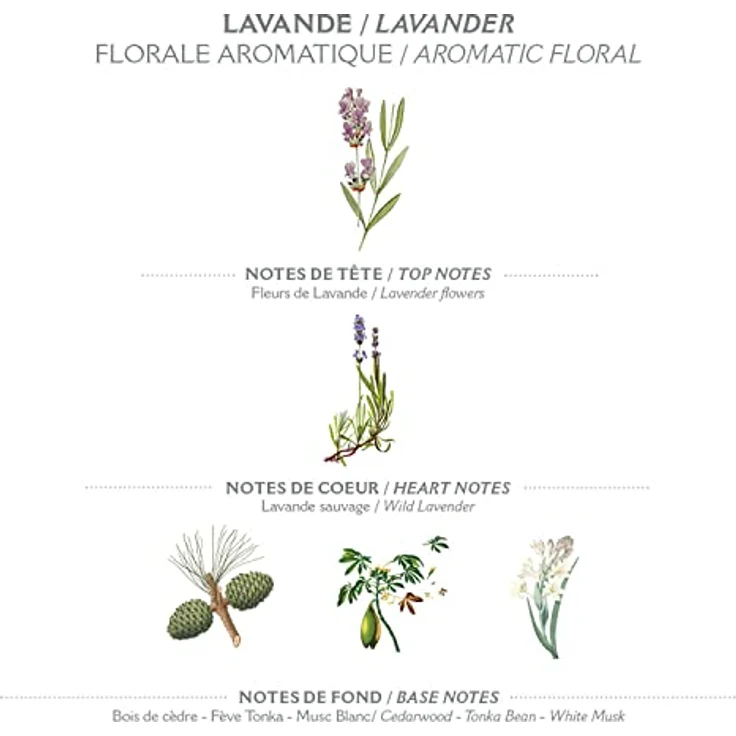 Panier des Sens Hand- und Körperseife, Lavendel mit Olivenöl, 97% natürliche Inhaltsstoffe, 2x150g – Bild 3