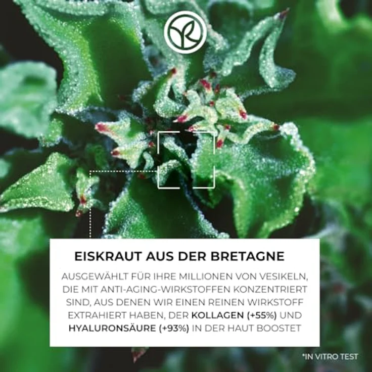 Yves Rocher LIFT Pro-COLLAGÈNE - Intensivpflege Anti-Falten-Behandlung für Tag und Nacht - 75 ml, mit Kollagen und Hyaluronsäure, glättet, füllt auf und nährt – Bild 3