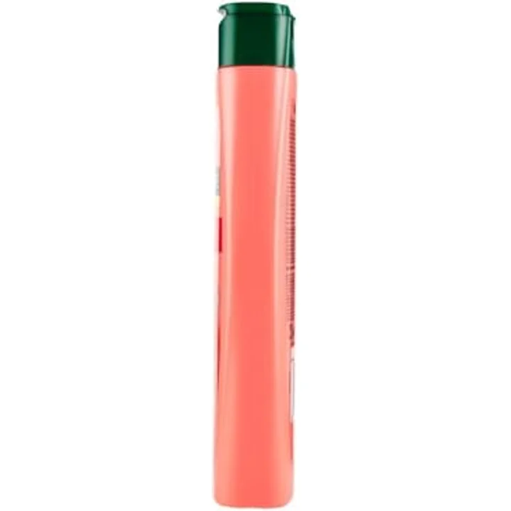 Palmolive Hydra Balance 2in1 Shampoo mit Pfirsich, 350 ml - pflegende Reinigung für sanftes Haar – Bild 2