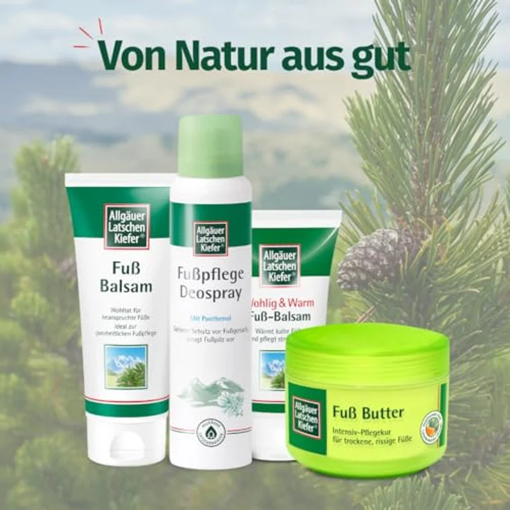 Dr. Theiss Naturwaren GmbH Latschenkiefer Fupflege Deospray, 100 ml, erfrischendes Fußpflege Deospray – Bild 5