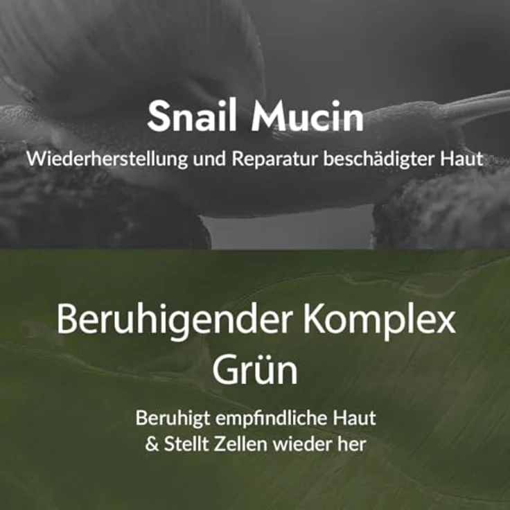 MIZON SNAIL ALL IN ONE REPAIR CREAM, Gesichtscreme mit 40.000 ppm Schneckenschleim, Anti-Aging und Hautunreinheitenpflege, 75ml – Bild 3