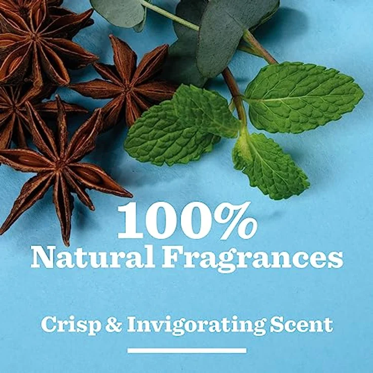 BULLDOG Skincare Peppermint and Eucalyptus Roll On Natural Deodorant 75ml, 24-Stunden-Geruchsschutz, Vegan, Pfefferminz & Eukalyptus – Bild 3