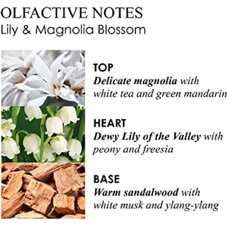 Molton Brown Lily & Magnolia Blossom Eau de Toilette 100 ml - Fröhlicher blumiger Duft mit Magnolie und Maiglöckchen – Bild 2