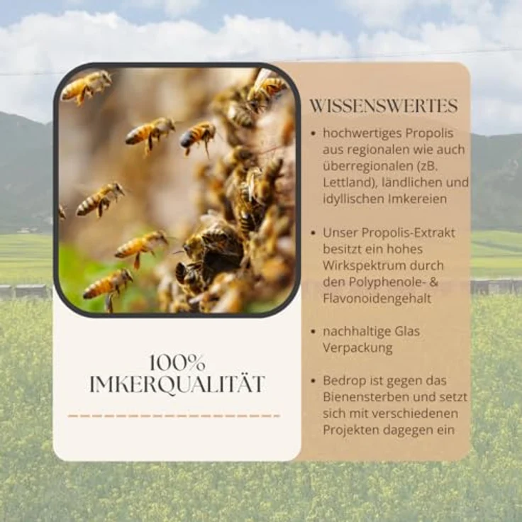 bedrop Propolis Körpercreme, hochdosiert mit Bienenwachs & Traubenkernöl für natürliche Hautpflege, 200ml – Bild 8