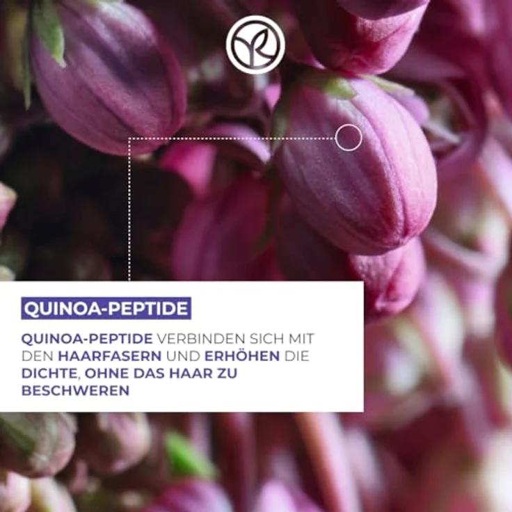 Yves Rocher Volume Plumping Conditioner, 200 ml, für feines & plattes Haar, mit Quinoa-Peptiden für sofortiges Volumen – Bild 3