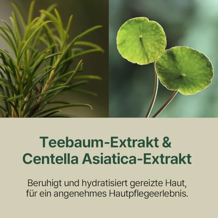 Pyunkang Yul Beruhigende Feuchtigkeitspflege Nährende Creme 50ml, mit Ceramiden und Hyaluronsäure für empfindliche Haut – Bild 5
