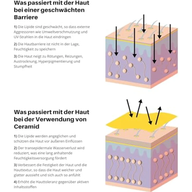 NIP+FAB Ceramide Fix 12 %, Gesichtsserum mit Ceramiden, 50 ml, für empfindliche Haut, vegan, nicht parfümiert – Bild 8
