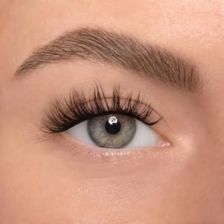 AYLASHES Limited Edition The Leo DIY Wimpernextensions, 6 Paar Wimpern mit C-Curl, 14–15 mm Länge, ultraleicht, bis zu 7 Tage Halt – Bild 2
