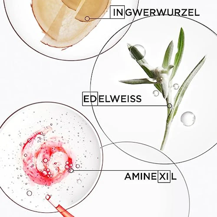 Kérastase Shampoo für feines Haar, Nährendes und kräftigendes Haarbad gegen Haarverlust, Bain Hydra-Fortifiant, Genesis, 2 x 500 ml, 1 LT – Bild 5