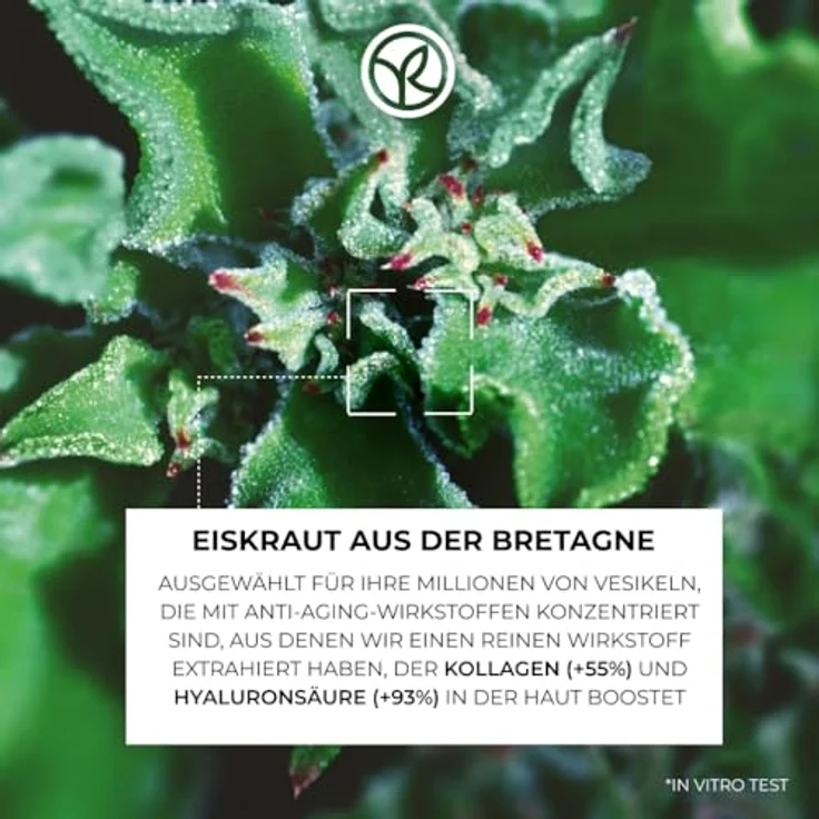 Yves Rocher LIFT Pro-COLLAGÈNE Tagescreme – Anti-Falten Gesichtscreme mit Kollagen und Hyaluronsäure – Glättet und strafft die Haut – 50 ml – Bild 3