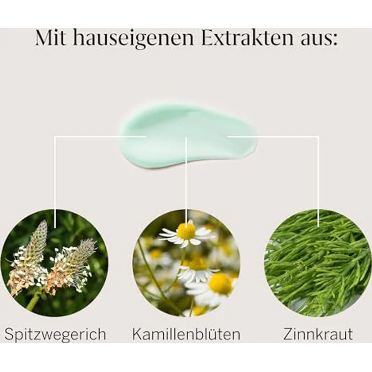 RAUSCH Pflege-Conditioner mit Schweizer Kräutern 150 ml – milde Pflege für die ganze Familie, vegan und ohne Silikon, hergestellt in der Schweiz – Bild 8