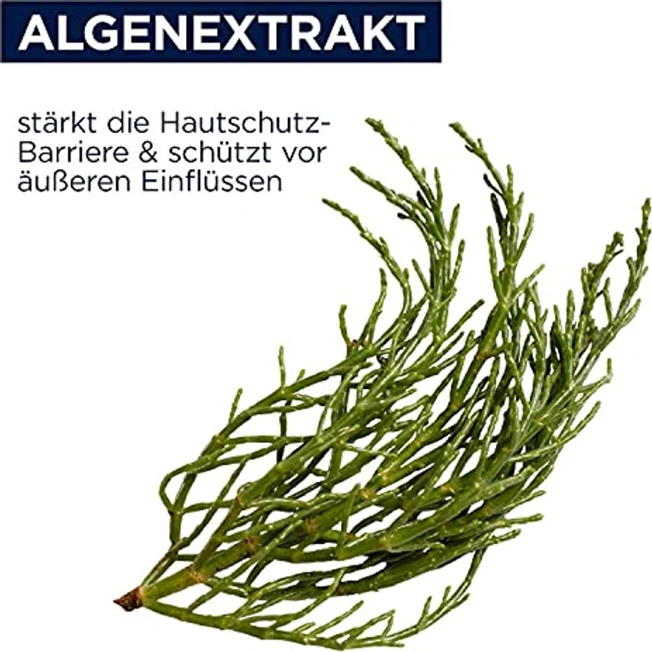 Heliotrop Active Regenerativ Nachtcreme 50 ml – Bild 4