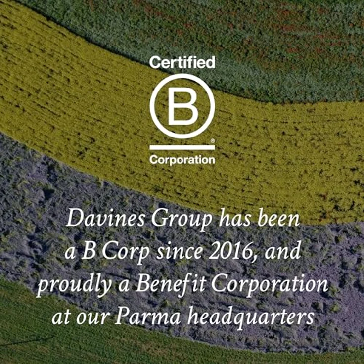 Davines Natural Tech Renewing Conditioning Treatment 250 ml – Bild 9