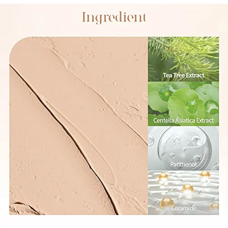 Dasique Pro Concealer Palette, Concealer für Hautmakel, Farbton 01 Cover, 8 g, hochpigmentierte Formel mit mittlerer Deckkraft – Bild 9
