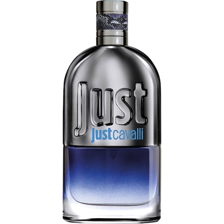 Roberto Cavalli Just Man Eau de Toilette Spray, Herrendufterlebnis mit würzig-ledrigen Noten, 90 ml